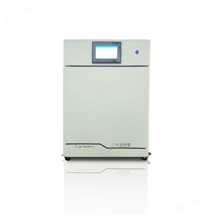 小型低氧细胞培养箱CN-SQ50B 140度干热灭菌
